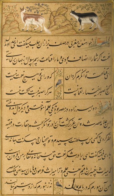 Manuscript of the Gulistan of Sadi by Persian School